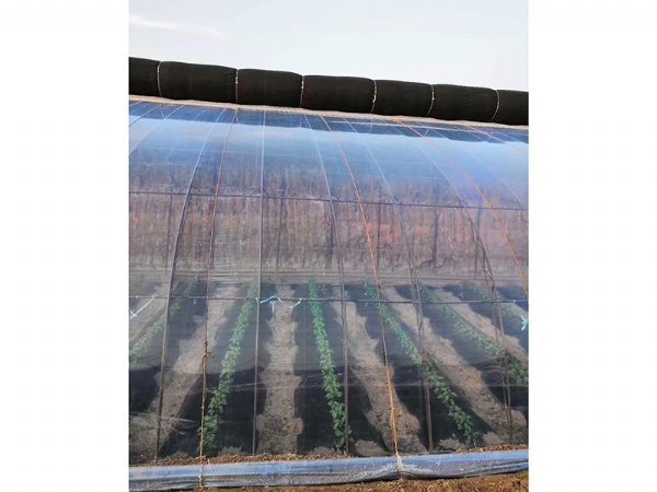 High quality EVA antifogging film